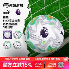 曼联队长B费荣获英超赛季最佳球员称号